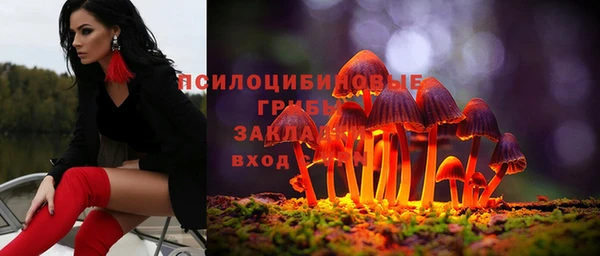 СК Михайловск