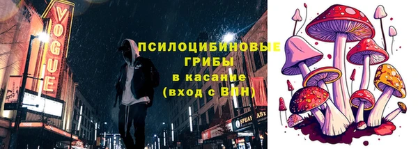 СК Михайловск