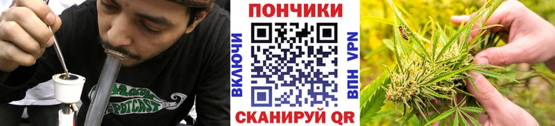 Купить где  Межгорье  Марихуана ГИДРОПОН 